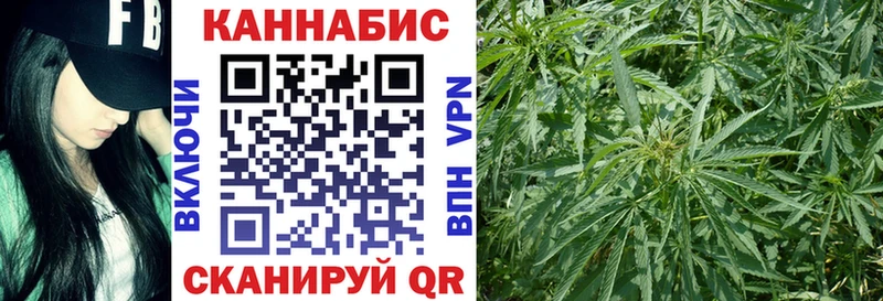 Купить наркотики цена Кировск Cocaine Меф мяу мяу кракен сайт Конопля ГАШ Героин A-PVP Псилоцибиновые грибы