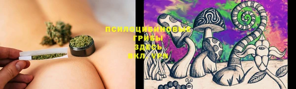 молекула духа Зеленодольск