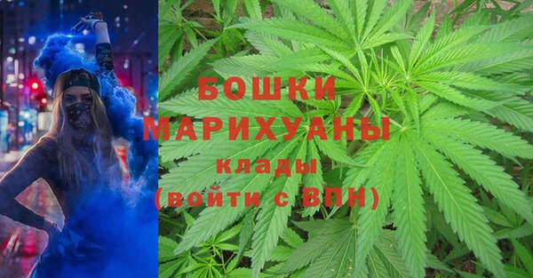молекула духа Зеленодольск