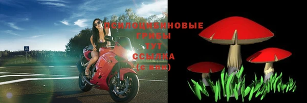 молекула духа Зеленодольск