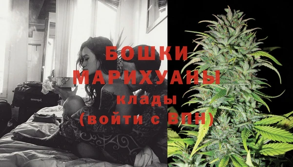 молекула духа Зеленодольск