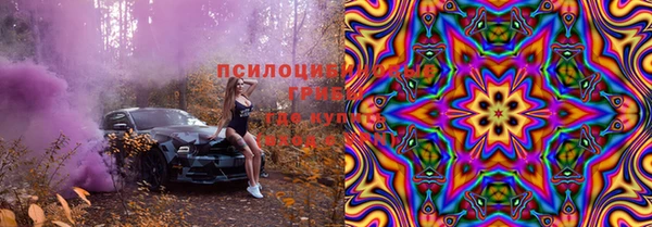 молекула духа Зеленодольск