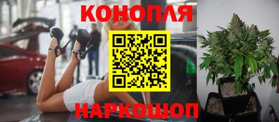 ПСИЛОЦИБИНОВЫЕ ГРИБЫ Краснознаменск