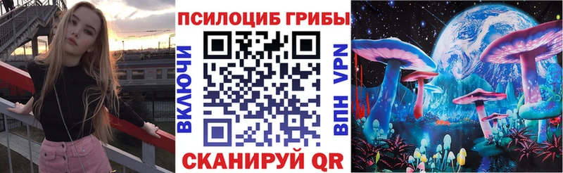 Галлюциногенные грибы Psilocybine cubensis  Кировск 