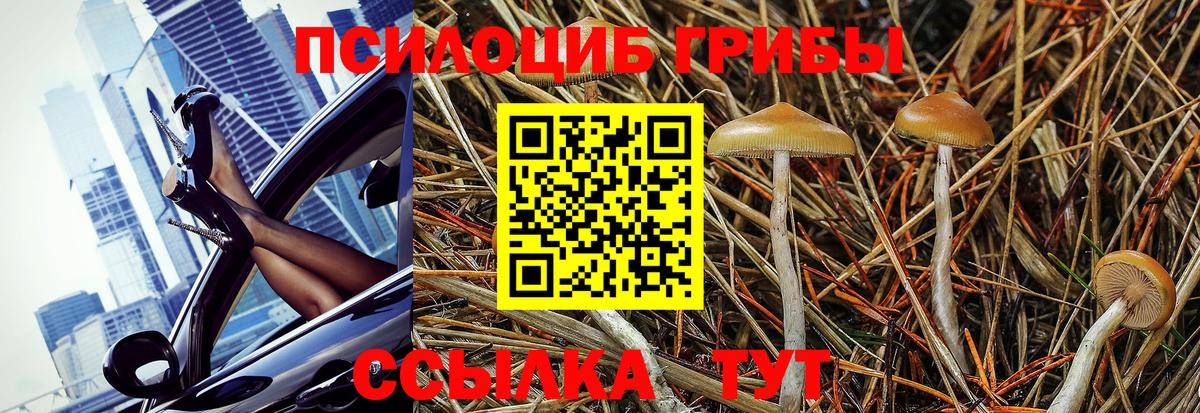 ГАШ  Мефедрон  Кировск  Марихуана  ГАШИШ  КОКАИН  COCAIN  Меф кристаллы  Вход с VPN 