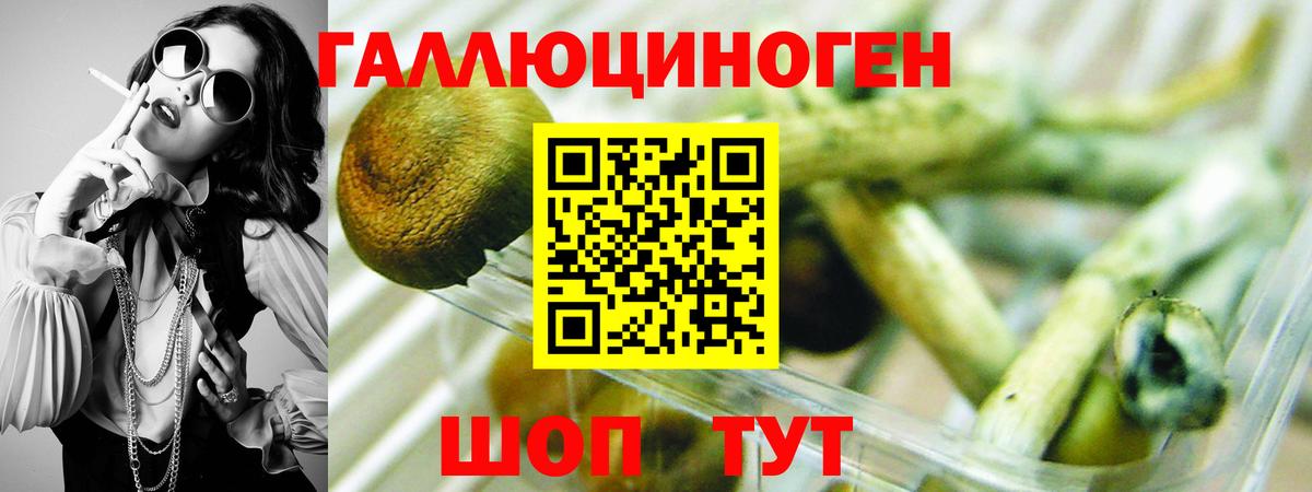 Псилоцибиновые грибы Psilocybe  Псилоцибиновые грибы Psilocybe  Кировск  Вход с VPN 